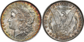 1885-O Morgan Silver Dollar. MS-64 (PCGS). CAC.
PCGS# 7162. NGC ID: 254T.

Estimate: $100