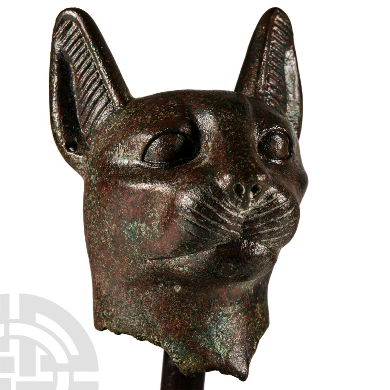 Large Egyptian Bronze Head of a Cat
Late Period-Ptolemaic Period, 664-30 B.C. M...