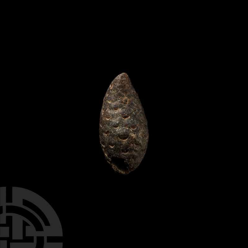 Natural History - Fossil Pine Cone
Eocene Period, circa 55-33 million years B.P...