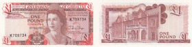Gibraltar, 1 Pound, 1983, UNC, p20c
Queen Elizabeth II at right, The Covenant of Gibraltar at back, Serial No: K709734