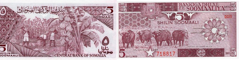 Somalia, 5 Shillings, 1986, UNC, p31b
Cape Buffalo at left, Harvisting Bananas ...