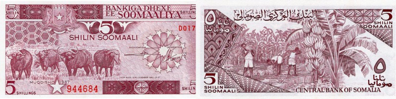 Somalia, 5 Shillings, 1987, UNC, p31c
Cape Buffalo at left, Harvisting Bananas ...