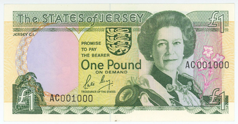 Jersey 1 Pound 1989 (ND) Binary Number

P# 15, N# 213072; # AC001000; UNC