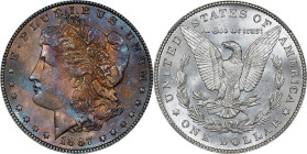 1887 Morgan Silver Dollar. MS-65 (NGC).

PCGS# 7172. NGC ID: 254Y.