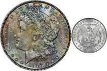 1887 Morgan Silver Dollar. MS-65 (NGC).

PCGS# 7172. NGC ID: 254Y.