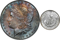 1887 Morgan Silver Dollar. MS-64 (NGC).

PCGS# 7172. NGC ID: 254Y.