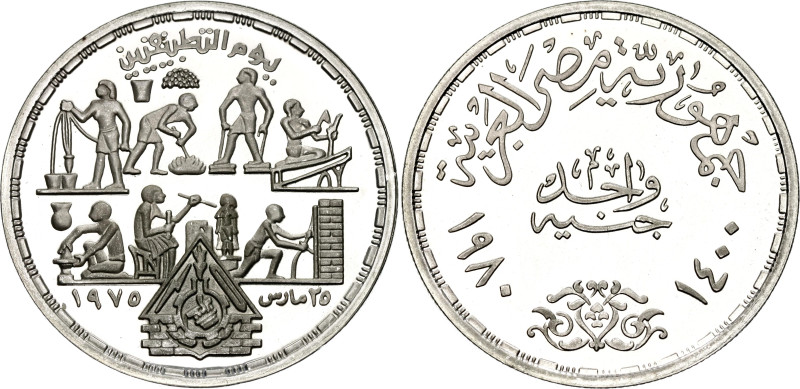 Egypt 1 Pound 1980 AH 1400 

KM# 510, N# 11455; Silver., Proof; Applied Profes...