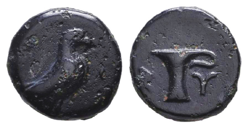 Greek Coins. 4th - 1st century B.C. AE Reference: Condition: Very Fine
Weight: ...