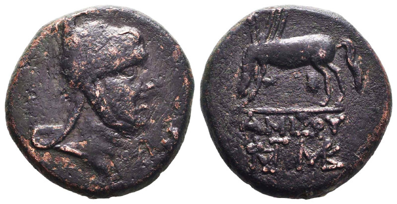 Greek Coins. 4th - 1st century B.C. AE Reference: Condition: Very Fine
Weight: ...