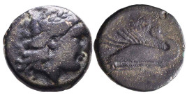 Greek Coins. 4th - 1st century B.C. AE Reference: Condition: Very Fine
Weight: 4.4g Diameter: 17.6mm