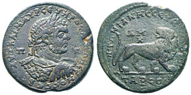 CILICIA. Tarsus. Caracalla (198-217). Ae. Obv: AYT KAI M AYP CЄYHPOC ANTΩNЄINOC CЄB / Π - Π. Laureate, draped and cuirassed bust right. Rev: ANTΩNIANH...