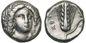 LUCANIE, METAPONTE, AR statère, vers 300 av. J.-C. D/ T. de Déméter de f., lég. tournée vers la d., cour. d'épis. A d., AΓ. R/ META Epi de blé avec fe...