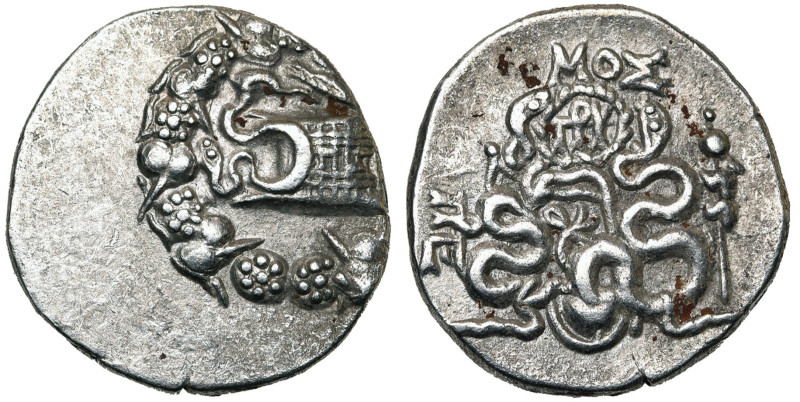 MYSIE, PERGAME, AR cistophore, 133-67 av. J.-C. D/ Ciste mystique entrouverte, d...