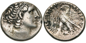 ROYAUME LAGIDE, Ptolémée XII Neos Dionysos (80-51), AR tétradrachme, 54-53 av. J.-C., Alexandrie. D/ T. diad. à d., le cou dr. de l'égide. R/ ΠΤΟΛΕMAI...