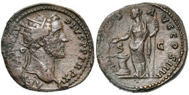 ANTONIN le Pieux (138-161), AE dupondius, 151-152, Rome. D/ ANTONINVS AVG- PIVS PP TR P XV T. r. à d. R/ SALVS AVG COS IIII/ S-C Salus deb. à g., nour...