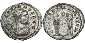 FLORIEN (276), AE antoninien, Cyzique. D/ IMP FLORIANVS AVG B. r., dr., cuir. à d. R/ CONCORDIA MILITVM/ S Victoire deb. à d., ten. une palme, offrant...