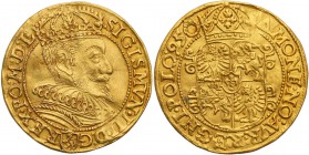 Sigismund III Vasa Ducat (Dukaten) 1595, Malbork UNLISTED 
Aw.: Popiersie króla w koronie w prawo. W legendzie otokowej herb Lewart w tarczy, Jana Fi...
