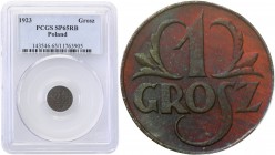 II RP. PROBE without inscription 1 grosz 1923 PCGS SP65 RB (2 MAX) 
Niezmiernie rzadka moneta próbna wybita w brązie, bez napisu PRÓBA, wybita stempl...