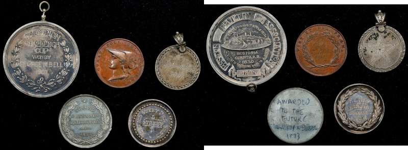 LOT WITHDRAWN

All different types, on silver and minor metal planchets. This ...