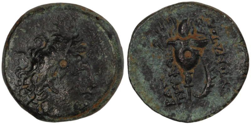 Tryphon. (142-138 BC). Bronze Æ. (18mm, 5,39g) Antioch.