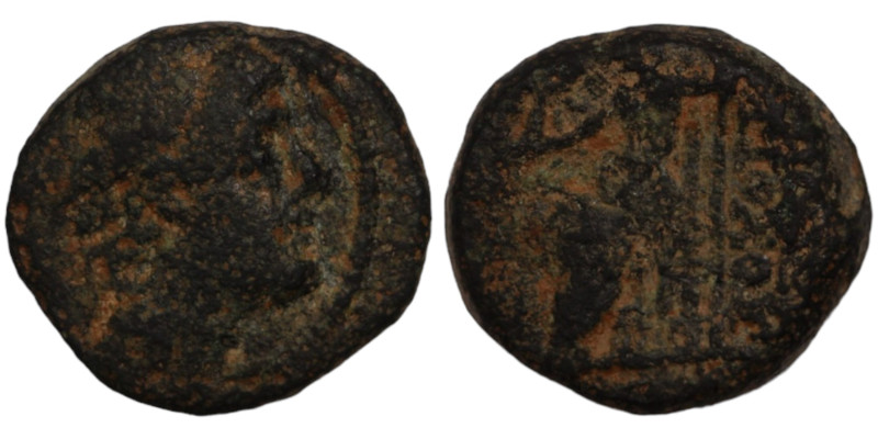 Antiochos X. Eusebes. (94-88 BC). Bronze Æ. (16mm, 5,45g) Antioch.