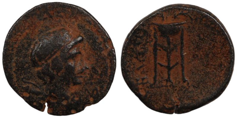 Antiochos II. Theos. (261-246 BC). Bronze Æ. (18mm, 2,83g) Antioch.