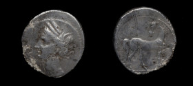 237-227 a.C. Cartagonova. 1/2 siclo. Ag. 3,41 g. Cabeza de Tanit, coronada con espigas de cereal, con collar, a izquierda /Caballo parado, con cabeza ...