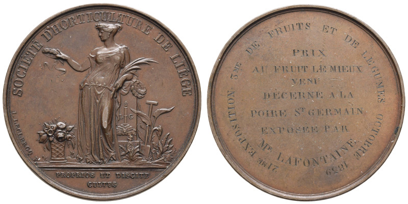 Medaillen Medaillen Ausland vor 1900
 Belgieb, Lüttich, Kupfermedaille (Dm. 44m...