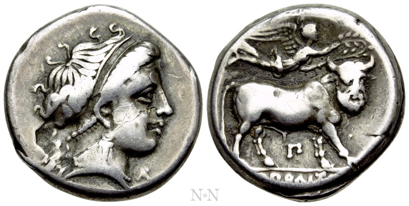 CAMPANIA. Neapolis. Nomos - Didrachm (Circa 300-275 BC). 

Obv: Head of nymph ...