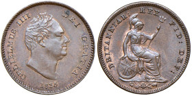 GRAN BRETAGNA Guglielmo IV (1830-1837) 1/3 di Farthing 1835 - KM 721 CU (g 1,64) R
qFDC