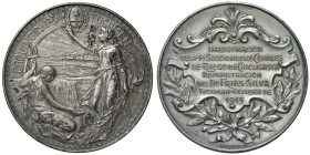 ARGENTINA Medaglia 1913 Inaugurazione canali Tucuman - Opus: J. Gottuzzo AE argentato (g 53,87 - Ø 51 mm)
SPL+