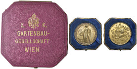 AUSTRIA Medaglia senza data Società di giardinaggio austriaca - Opus: F. Jauner AE dorato (g 47,44 - Ø 48 mm) Box originale.
M.di SPL