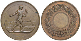 FRANCIA Medaglia senza data Società centrale dell'agricola di Nizza - Opus: J. Lagrance AE (g 79,66 - Ø 67 mm) Punzone "BRONZE" sul contorno, macchiet...