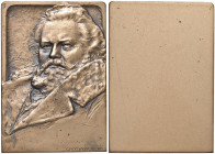 Giosuè Carducci (1835-1907) Placchetta uniface senza data - Opus: G. Picchiani AE (g 114 - 68x47 mm) 
FDC