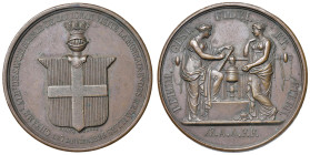 Carlo Felice (1821-1831) - Medaglia 1824 visita di Carlo Alberto alla zecca di Parigi - Opus: F. Caque AE (g 39,87 - Ø 41 mm) Colpetto al bordo.
SPL