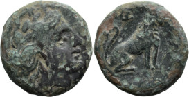 Greek
THRACE. Lysimacheia. (260-255 BC).
AE Bronze (18.2mm 5.7g)
Obv: Head of Tyche right
Rev: Lion sitting right. ΘE monogram above.
Arslan, Asi...