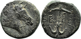 Greek
SELEUKID KINGDOM. Antiochos I Soter (281-261 BC). Uncertain mint.
AE Bronze (12.9mm 2.69g)
Obv: Horned head of horse right.
Rev: ΒΑΣΙΛΕΩΣ / ...