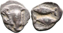 Greek
MYSIA. Kyzikos. (Circa 450-400 BC).
AR Hemiobol (7mm 0.26g)
Obv: Forepart of boar to left
Rev: Two tunny fish swimming in opposite direction...