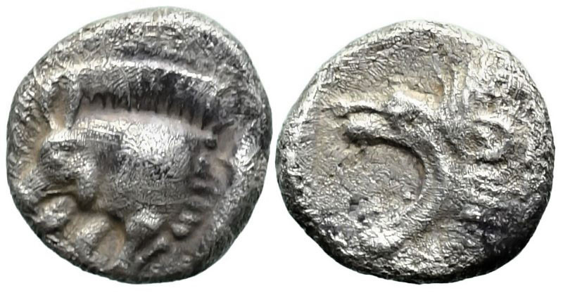 Greek
MYSIA. Kyzikos (Circa 450-400 BC)
AR Hemiobol (6.5mm 0.34g)
Obv: Forepa...