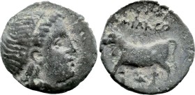 Greek
MYSIA. Miletopolis (Circa 4th century BC)
AE Bronze (11.9mm 1.3g)
Obv: Laureate head of Apollo right.
Rev: MIΛHTO. Bull advancing left; belo...
