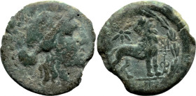 Greek
IONIA. Miletos . (Circa 200-50 BC)
AE Bronze (18.4mm 4.77g)
Obv: Laureate head of Apollo right
Rev: Lion standing right, head left; star abo...