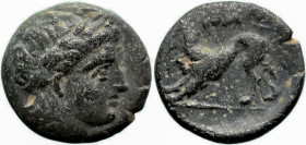 Greek
ISLAND off MYSIA. Nasos. Pordosilene. (Circa 350-300 BC). In the name of the Nasiotes.
AE Bronze (9mm 0.68g)
Obv: Laureate head of Apollo to ...