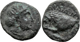 Greek
THRACE. Kardia. (Circa 350-309 BC)
AE Bronze (16mm 3.96g)
Obv: Female head right
Rev: KAPΔIANΩN. Forepart lion left, with spear in its jaws;...