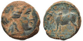 SELEUKID KINGS of SYRIA. Seleukos II Kallinikos, 246-226 BC. Ae (bronze, 3.96 g, 16 mm). Uncertain mint, associated with Antioch. Laureate head of Apo...
