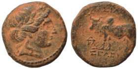 SELEUKID KINGS of SYRIA. Seleukos II Kallinikos, 246-226 BC. Ae (bronze, 3.63 g, 15 mm). Uncertain mint, associated with Antioch. Laureate head of Apo...
