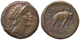 SELEUKID KINGS of SYRIA. Seleukos II Kallinikos, 246-226 BC. Ae (bronze, 5.76 g, 18 mm), Ekbatana. Diademed head of Seleukos II to right. Rev. ΒΑΣΙΛΕΩ...