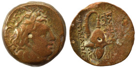 SELEUKID KINGS of SYRIA. Tryphon, 142-138 BC. Ae (bronze, 4.58 g, 17 mm), Antioch. Diademed head of Tryphon to right. Rev. ΒΑΣΙΛΕΩΣ ΤΡΥΦΟΝΟΣ ΑΥΤΟΚΡΑΤΟ...