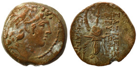 SELEUKID KINGS of SYRIA. Tryphon, 142-138 BC. Ae (bronze, 4.53 g, 17 mm), Antioch. Diademed head of Tryphon to right. Rev. ΒΑΣΙΛΕΩΣ ΤΡΥΦΟΝΟΣ ΑΥΤΟΚΡΑΤΟ...