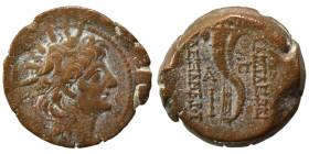 SELEUKID KINGS of SYRIA. Alexander II Zabinas, 128-122 BC. Ae (bronze, 8.58 g, 22 mm), Antiochia on the Orontes. Radiate and diademed head of Alexande...