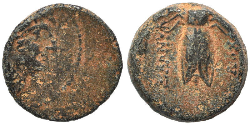 SELEUKID KINGS of SYRIA. Antiochos VIII Epiphanes (Grypos), 121/0-97/6 BC. Ae (b...